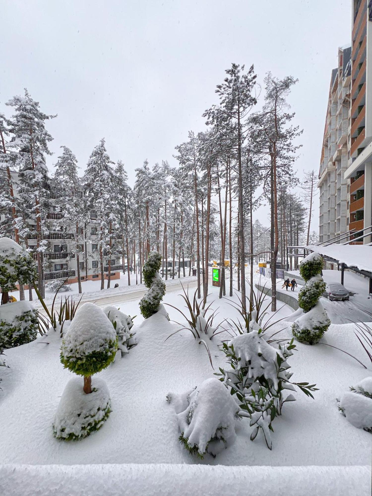 Zlatilux Apartment *